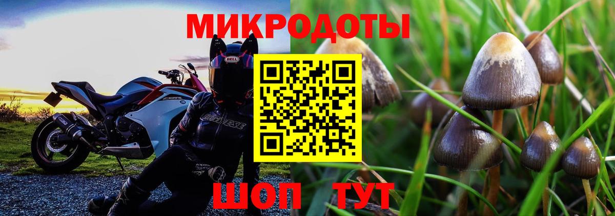 Боровичи  Псилоцибиновые грибы прущие грибы  Вход с VPN 